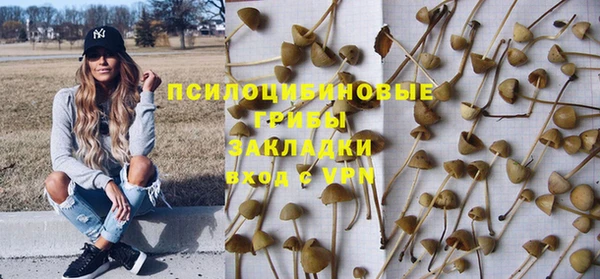 спиды Алексин
