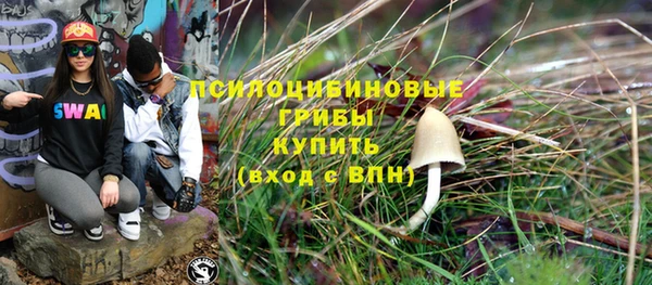 спиды Алексин