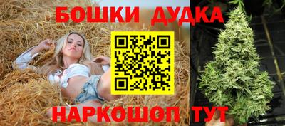 apvp Гусиноозёрск