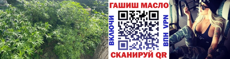 Дистиллят ТГК гашишное масло  как найти   МЕГА рабочий сайт  Волхов 