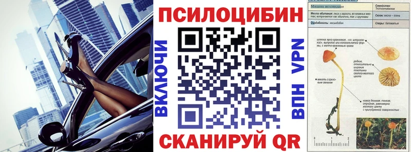 сколько стоит  маркетплейс телеграм  Галлюциногенные грибы Psilocybine cubensis  Волхов 