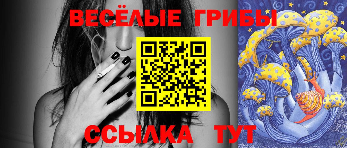 Волхов  хочу   Псилоцибиновые грибы Magic Shrooms  Вход с VPN  Псилоцибиновые грибы Psilocybe 