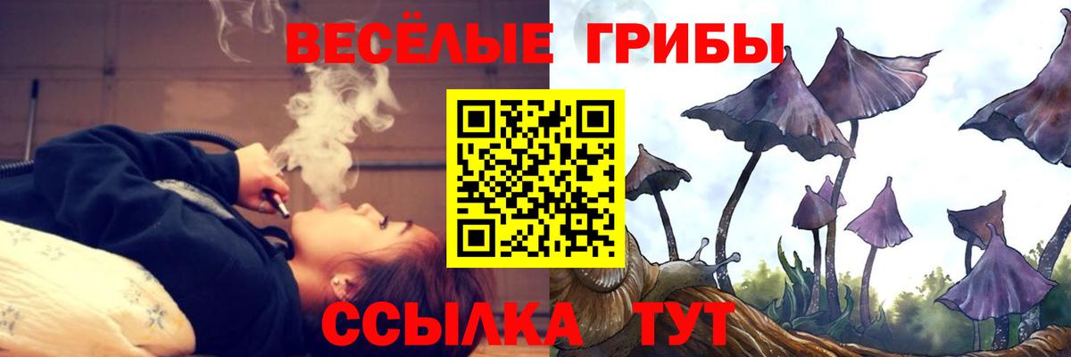 Галлюциногенные грибы MAGIC MUSHROOMS Волхов