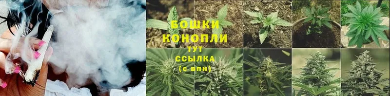 блэк спрут ССЫЛКА  Волхов  Бошки Шишки OG Kush 